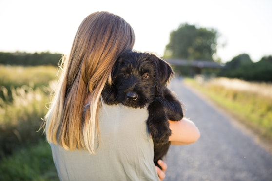 Understanding and preventing separation anxiety in dogs
