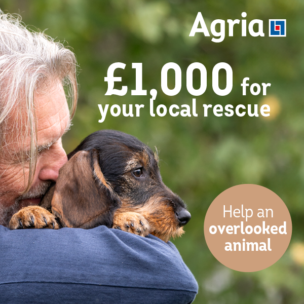 Reward For Rescue Could the animal rescue closest to your heart be one of twelve to ...