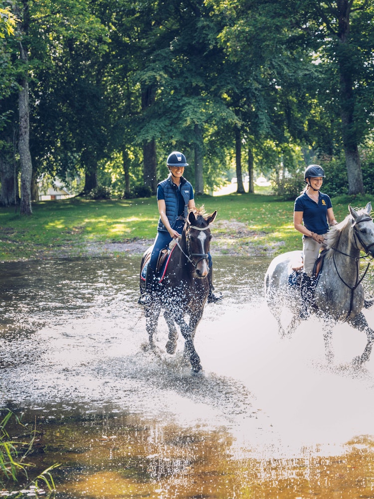 Horse-riding through a big puddle - Agria Pet Insurance