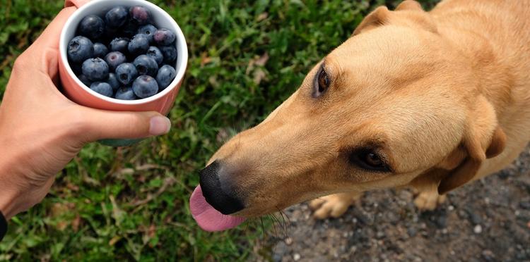 71KB 2001 null null null null null null 6 2003 null Dcr8YPp2LIkmVM