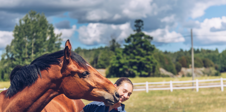 The benefits of giving your horse some time off