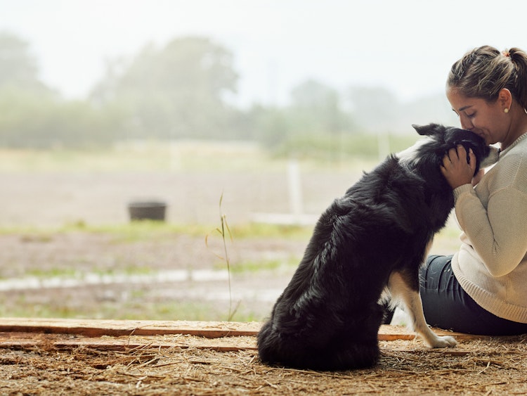 A woman giving her Border Collie a kiss - Agria Pet Insurance