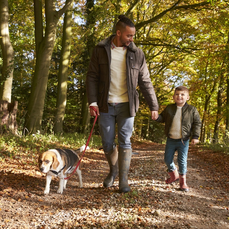 A dog out for a walk with their owner and a child - Agria Pet Insurance