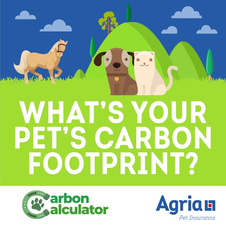 Agria Pet Insurance Poster - Pet Carbon Calculator