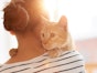 Feline leukemia (FeLV) in cats