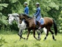 Love the sun, hate the hard ground? How to keep your horse fit and sound in a heatwave