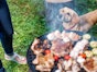 Tips for a pet-safe barbecue